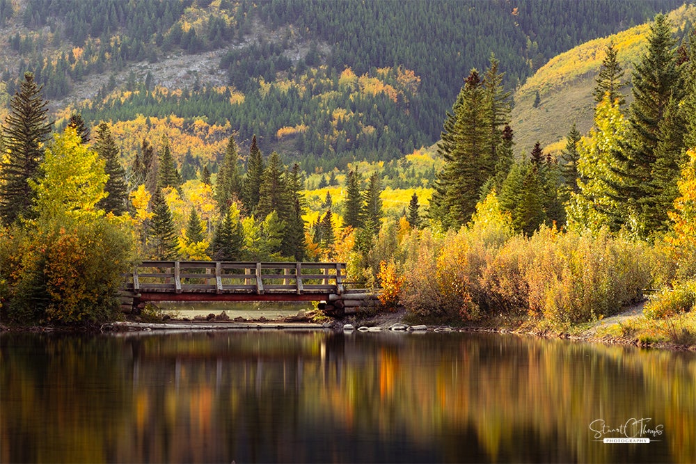 Stuart Thomas - Autumn Reflections | Route22 Artist Collective Ltd.